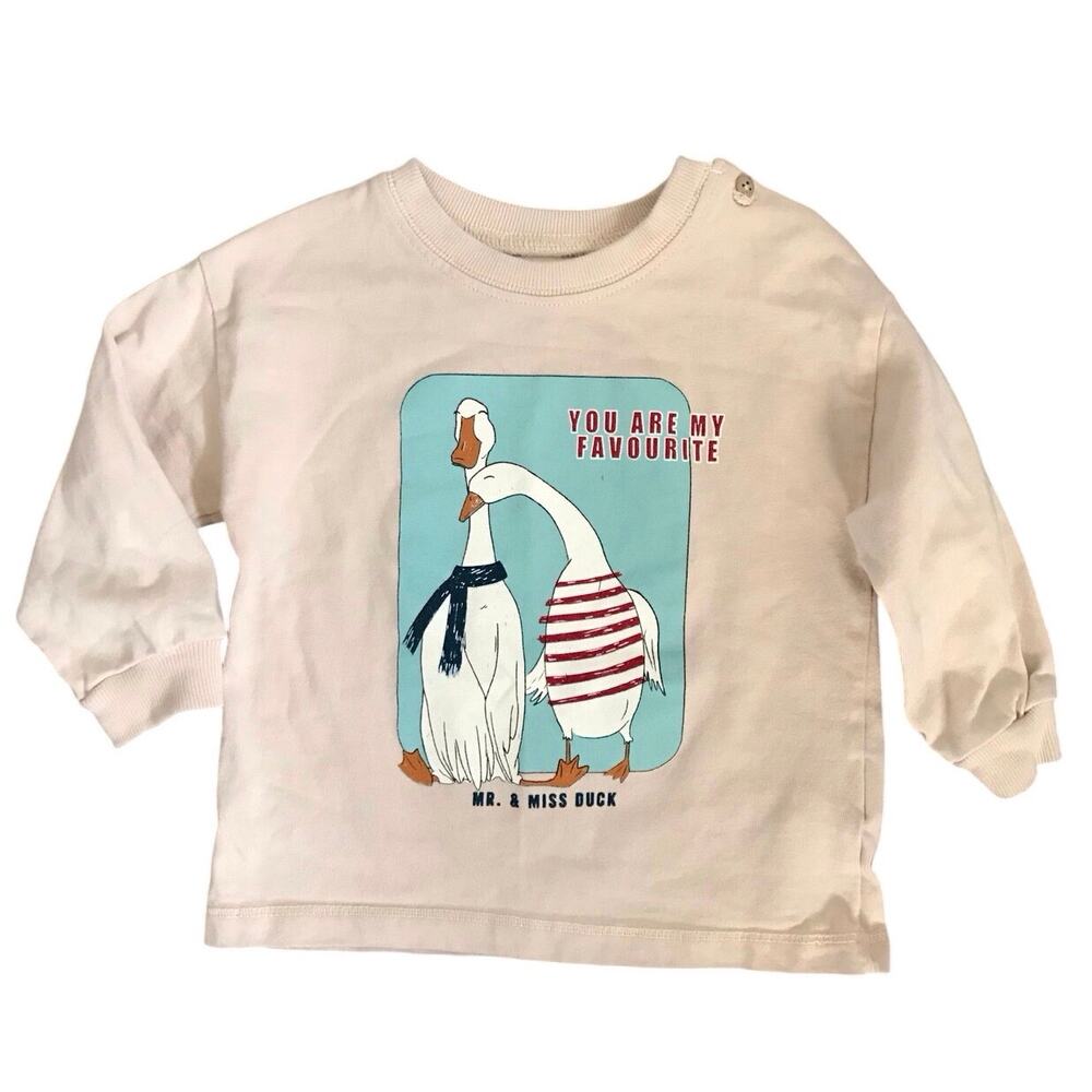 ZARA Ducks Crewneck Sweatshirt Size 9-12mo